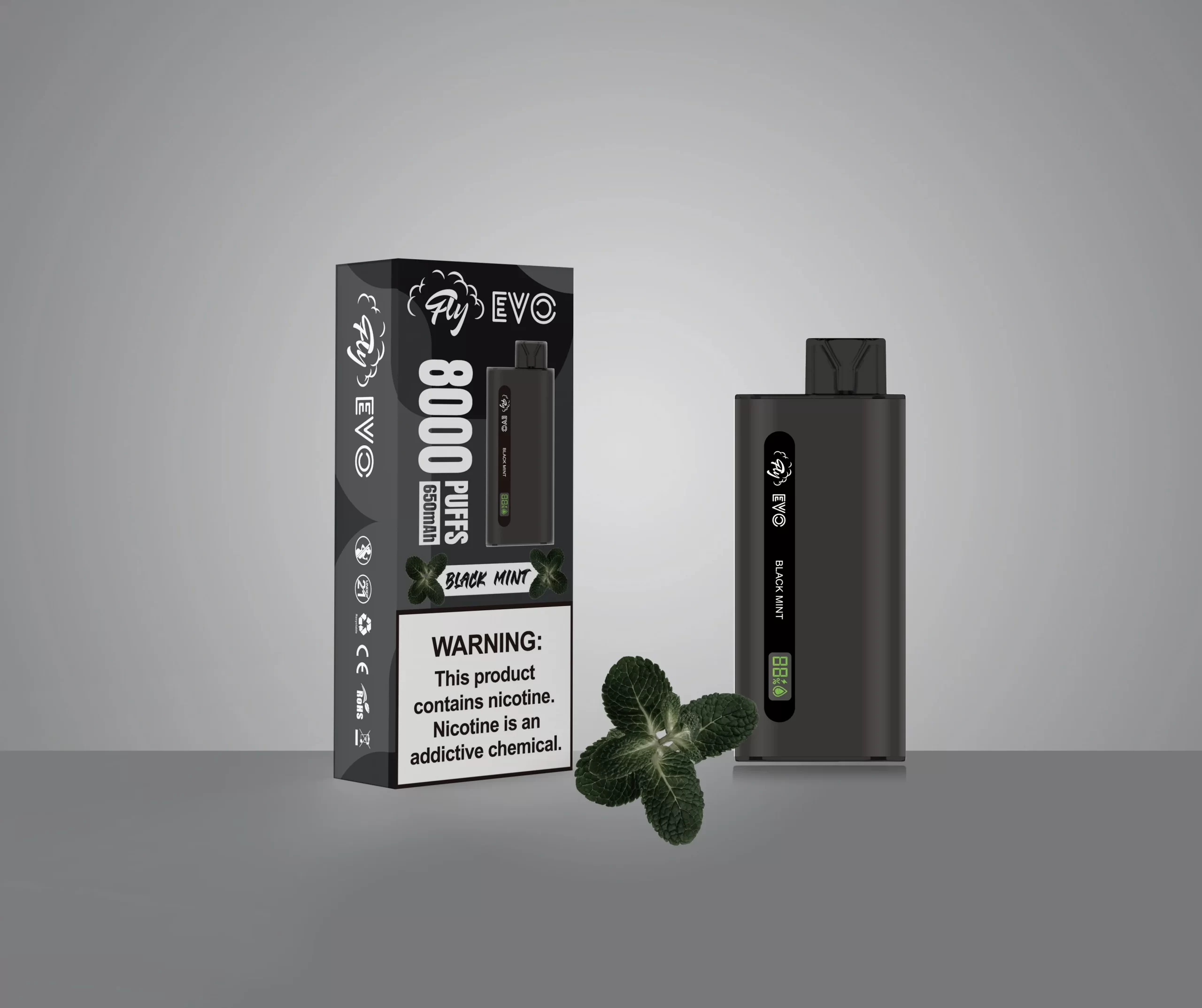 Fly Evo Black Mint